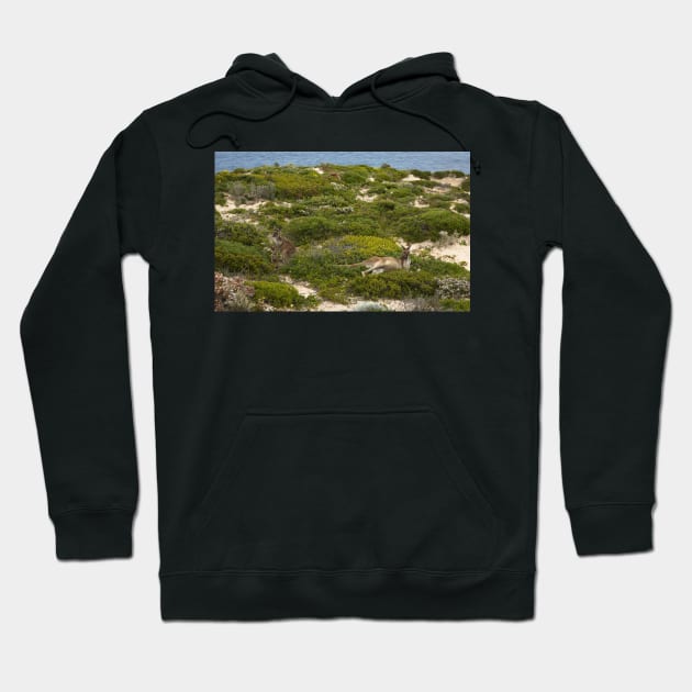 Family day at the beach Hoodie by athexphotographs